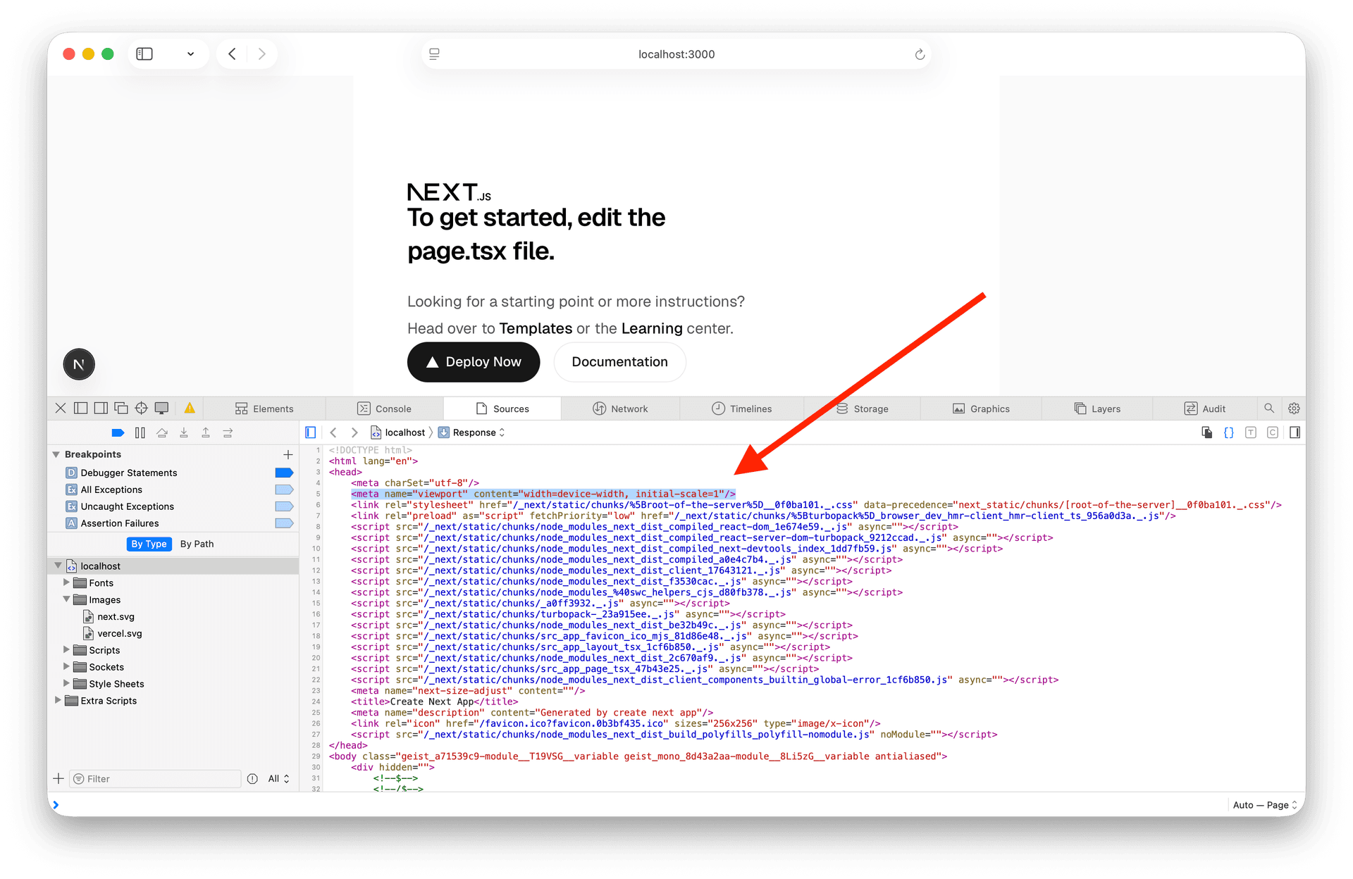 Default viewport meta tag added to the next.js default template
