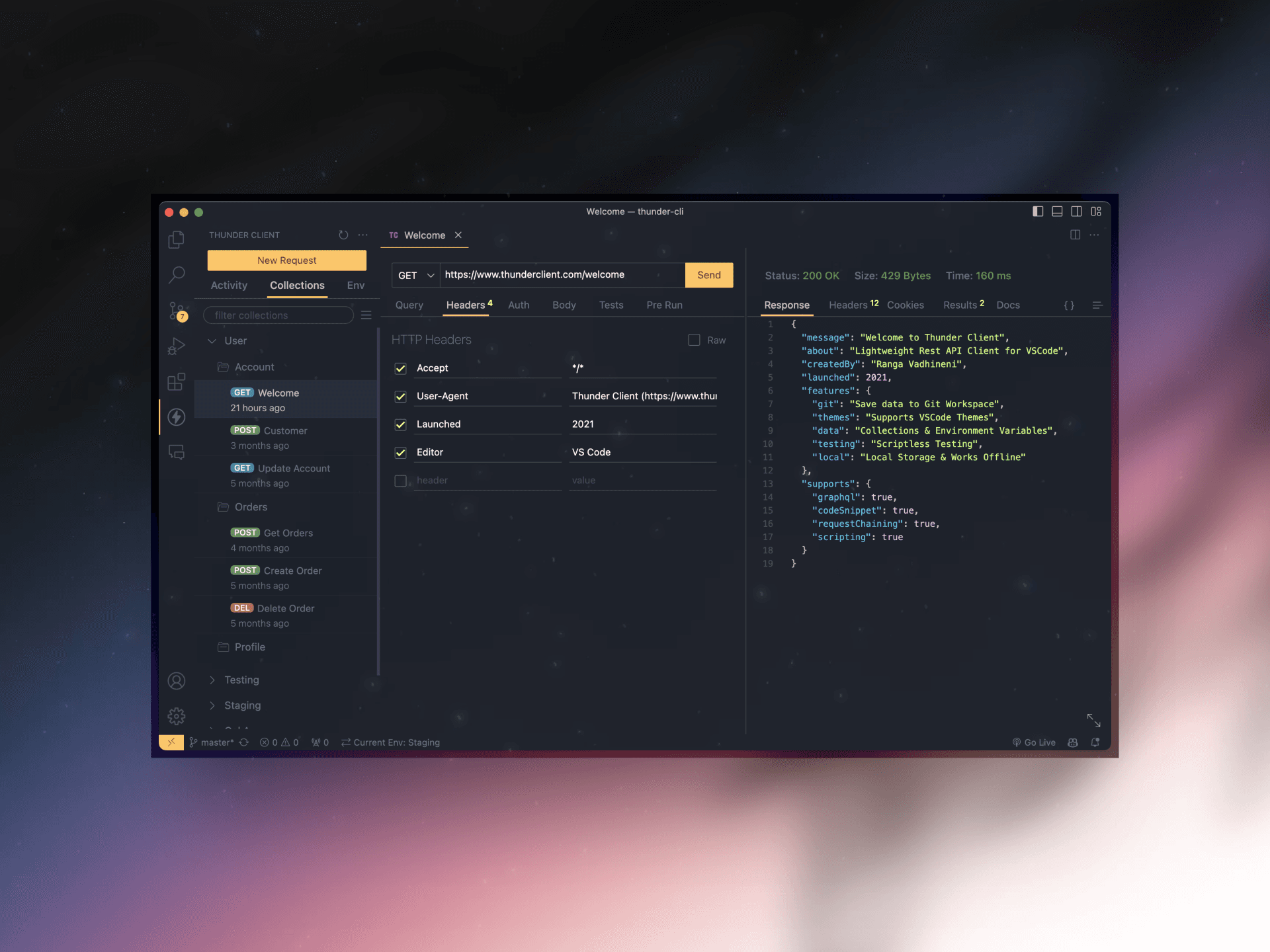 Screenshot of Thunder-cli